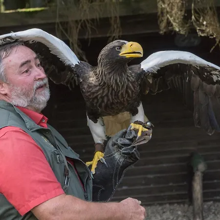 Casa de Férias Holzhaus Onkel Fritz Mit Sauna Und Whirlwanne Esch (Rhineland-Palatinate)