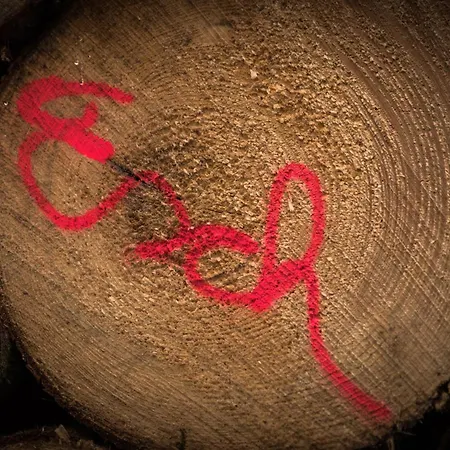 Holzhaus Onkel Fritz Mit Sauna Und Whirlwanne *
