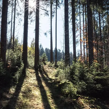 Holzhaus Onkel Fritz Mit Sauna Und Whirlwanne Ferienhaus