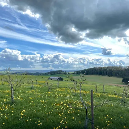 Holzhaus Onkel Fritz Mit Sauna Und Whirlwanne Casa de Férias