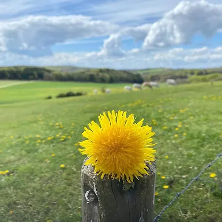 Holzhaus Onkel Fritz Mit Sauna Und Whirlwanne Esch (Rhineland-Palatinate)