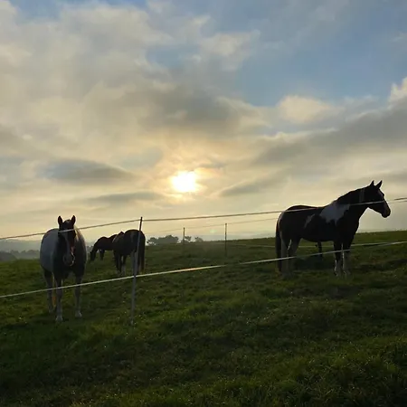 Holzhaus Onkel Fritz Mit Sauna Und Whirlwanne Casa de Férias