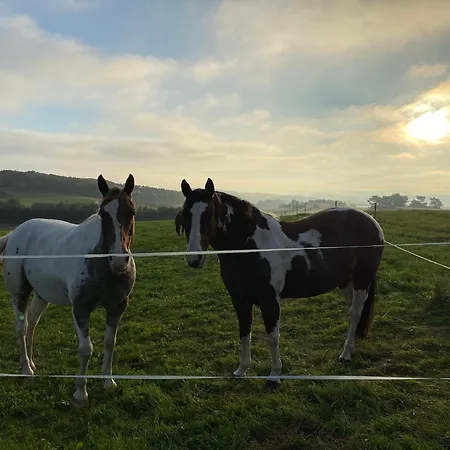 Casa de Férias Holzhaus Onkel Fritz Mit Sauna Und Whirlwanne *