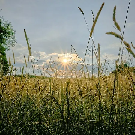 Holzhaus Onkel Fritz Mit Sauna Und Whirlwanne *