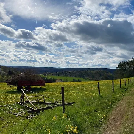 Holzhaus Onkel Fritz Mit Sauna Und Whirlwanne Esch (Rhineland-Palatinate)
