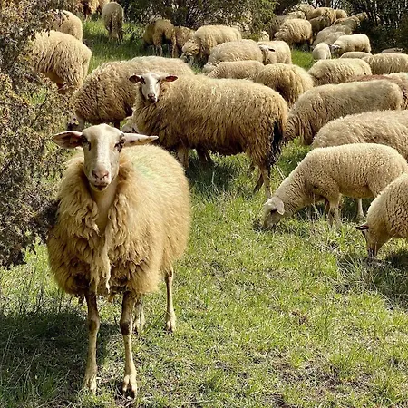 Holzhaus Onkel Fritz Mit Sauna Und Whirlwanne Casa de Férias Esch (Rhineland-Palatinate)
