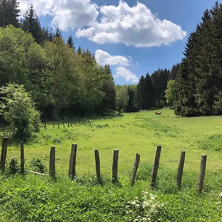 Ferienhaus Holzhaus Onkel Fritz Mit Sauna Und Whirlwanne *
