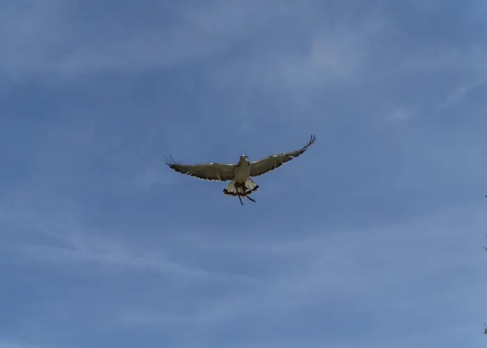 Holzhaus Onkel Fritz Mit Sauna Und Whirlwanne Esch (Rhineland-Palatinate)