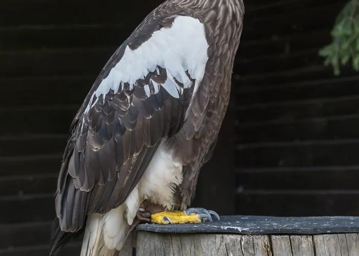 Holzhaus Onkel Fritz Mit Sauna Und Whirlwanne 度假居 *