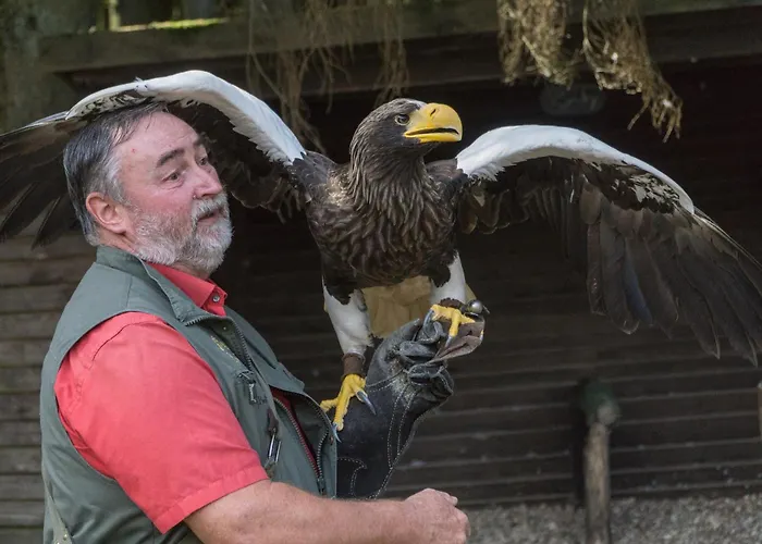 度假居 Holzhaus Onkel Fritz Mit Sauna Und Whirlwanne Esch (Rhineland-Palatinate)