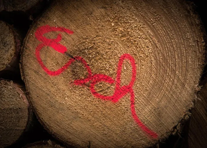 Holzhaus Onkel Fritz Mit Sauna Und Whirlwanne *