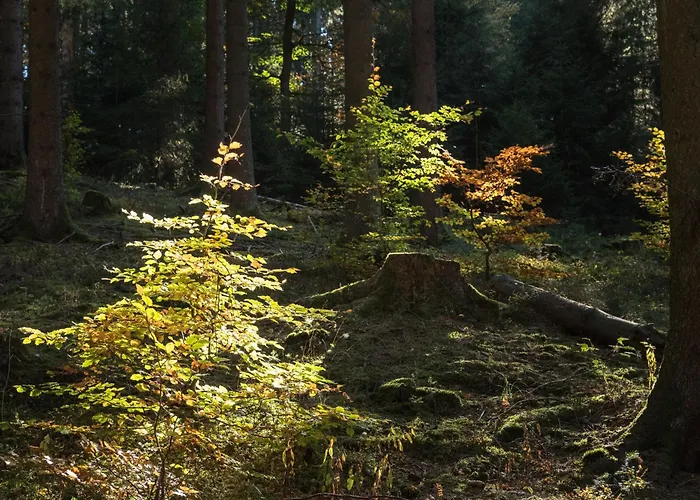 度假居 Holzhaus Onkel Fritz Mit Sauna Und Whirlwanne