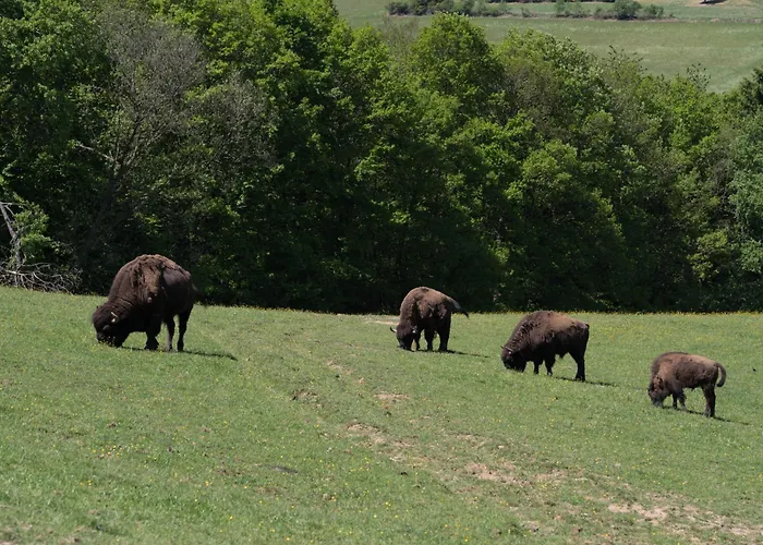 Holzhaus Onkel Fritz Mit Sauna Und Whirlwanne 度假居 *
