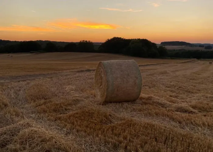 Holzhaus Onkel Fritz Mit Sauna Und Whirlwanne 度假居