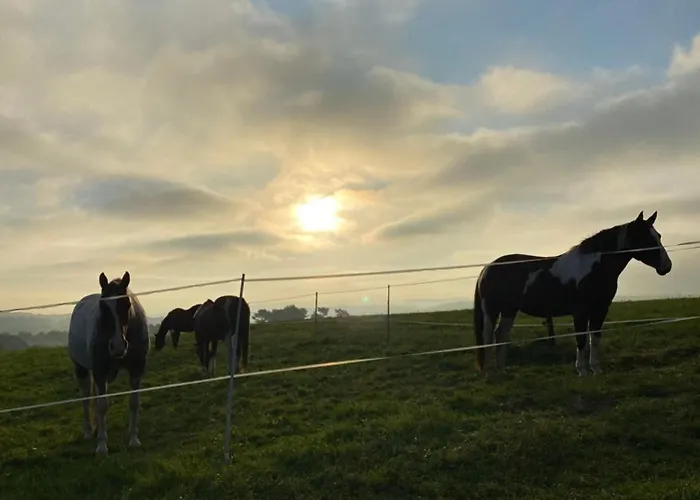 Holzhaus Onkel Fritz Mit Sauna Und Whirlwanne 度假居