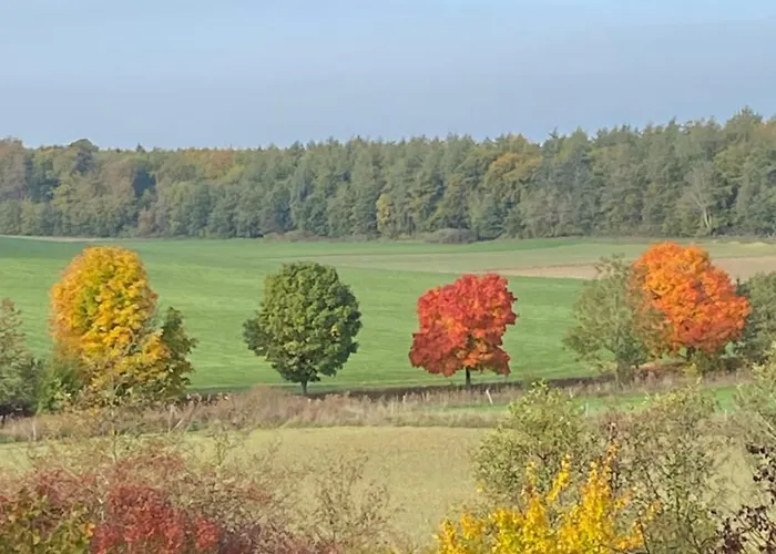 Holzhaus Onkel Fritz Mit Sauna Und Whirlwanne * Esch (Rhineland-Palatinate)