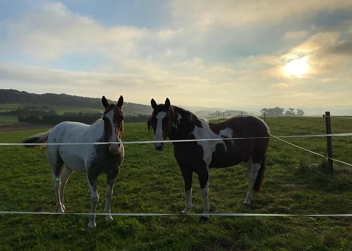 度假居 Holzhaus Onkel Fritz Mit Sauna Und Whirlwanne *