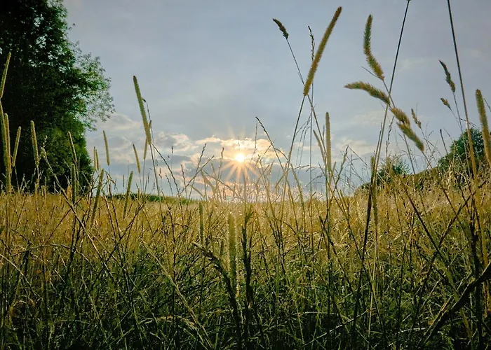 Holzhaus Onkel Fritz Mit Sauna Und Whirlwanne *