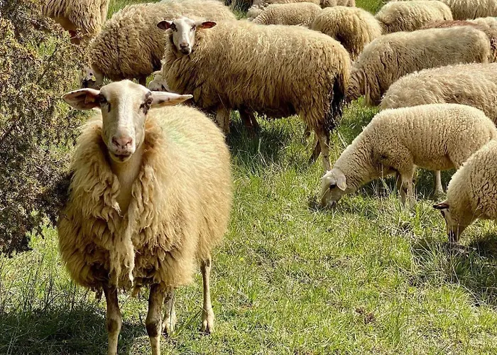 Holzhaus Onkel Fritz Mit Sauna Und Whirlwanne 度假居 Esch (Rhineland-Palatinate)