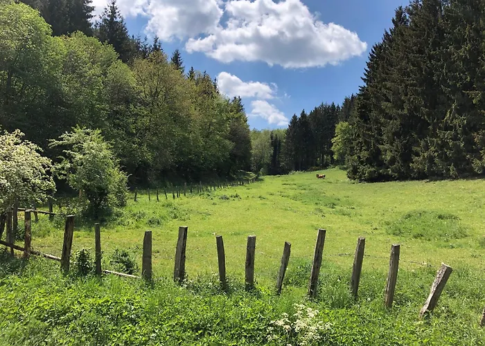 度假居 Holzhaus Onkel Fritz Mit Sauna Und Whirlwanne *